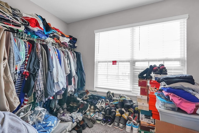 5617 Branchville Dr, Canal Winchester, OH 43110 - view of spacious closet