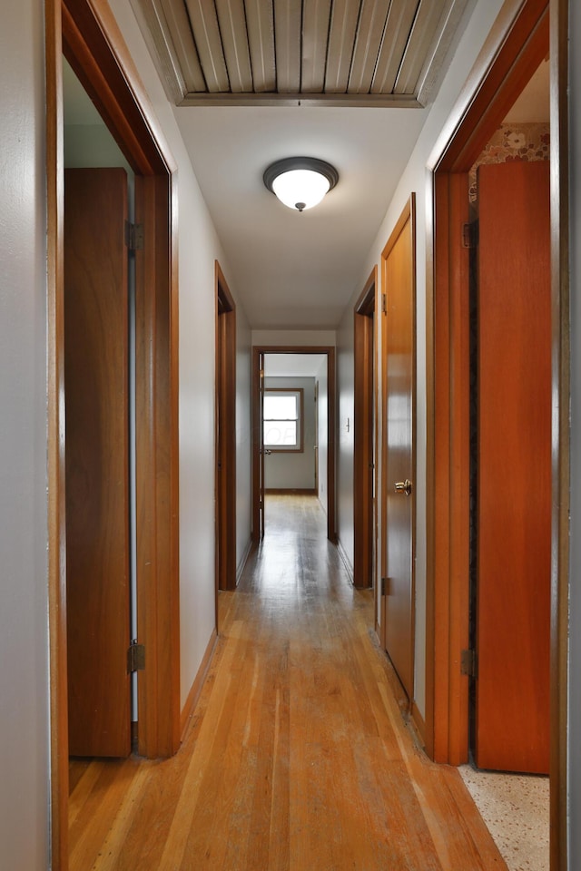 6070 Barberry Holw, Columbus, OH 43213 - hallway featuring light wood-type flooring