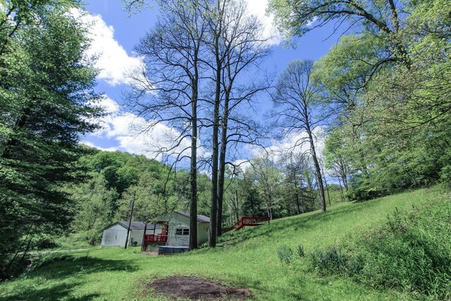 45222 Benwood Rd, Sardis, OH 43946 - photo 7