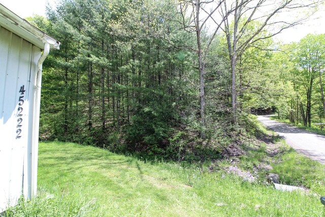45222 Benwood Rd, Sardis, OH 43946 - photo 13