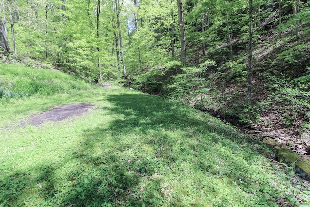 45222 Benwood Rd, Sardis, OH 43946 - photo 29
