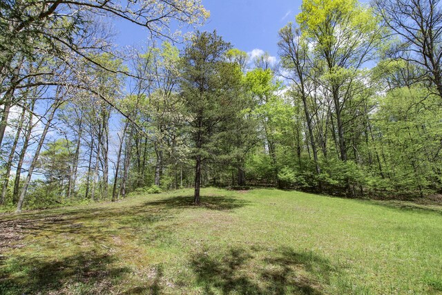 45222 Benwood Rd, Sardis, OH 43946 - photo 30