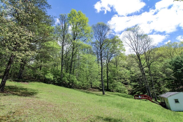 45222 Benwood Rd, Sardis, OH 43946 - photo 31