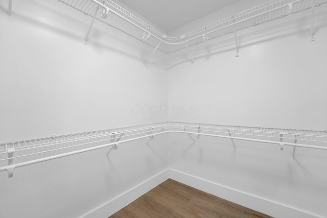 524 Avondale Ave, Marion, OH 43302 - walk in closet with dark wood-style flooring