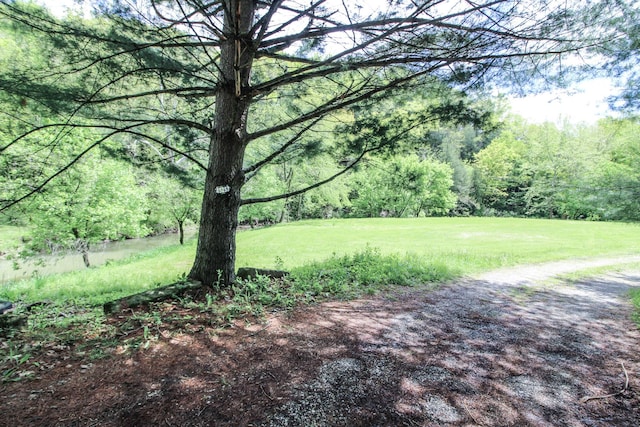 45247 W Union Rd, Sardis, OH 43946