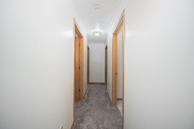 5039 Lee Rd, South Bloomfield, OH 43103 - hallway with light colored carpet, a textured ceiling, ornamental molding, and baseboards