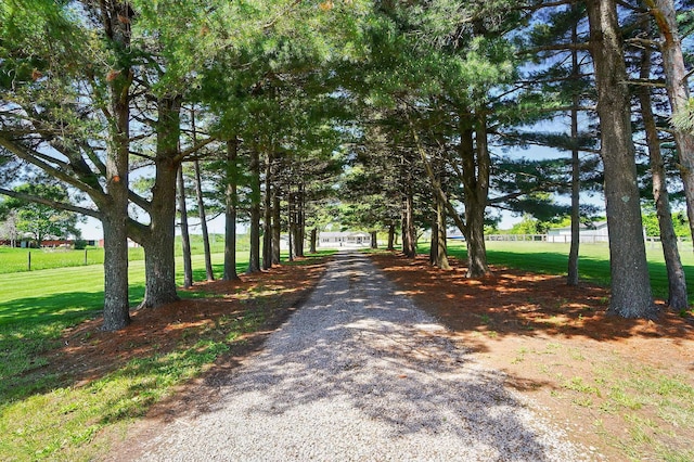 12955 State Route 188, Thornville, OH 43076 - view of dirt / gravel driveway