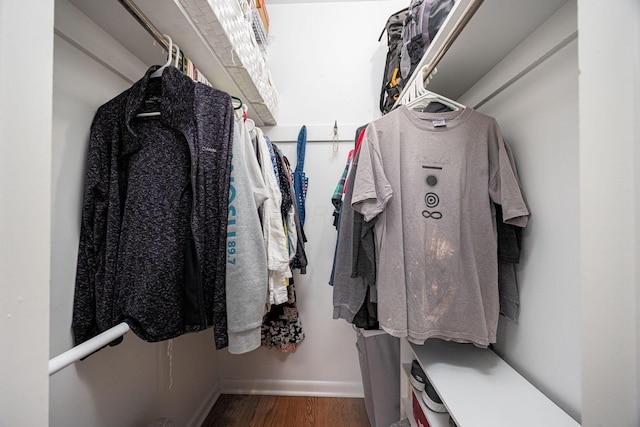 walk in closet featuring wood finished floors