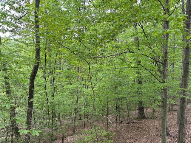 1160 Flathead Ln, Sugar Grove, OH 43155 - view of woods