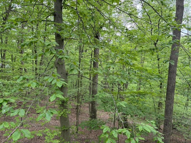 1160 Flathead Ln, Sugar Grove, OH 43155 - view of tree filled area