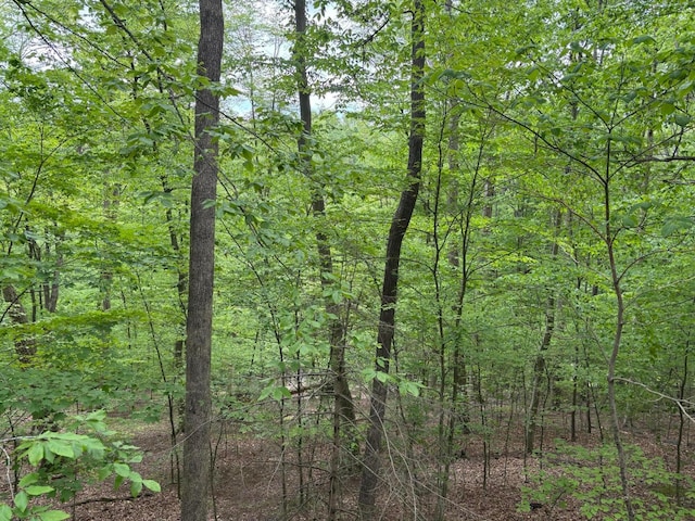 1160 Flathead Ln, Sugar Grove, OH 43155 - view of wooded area