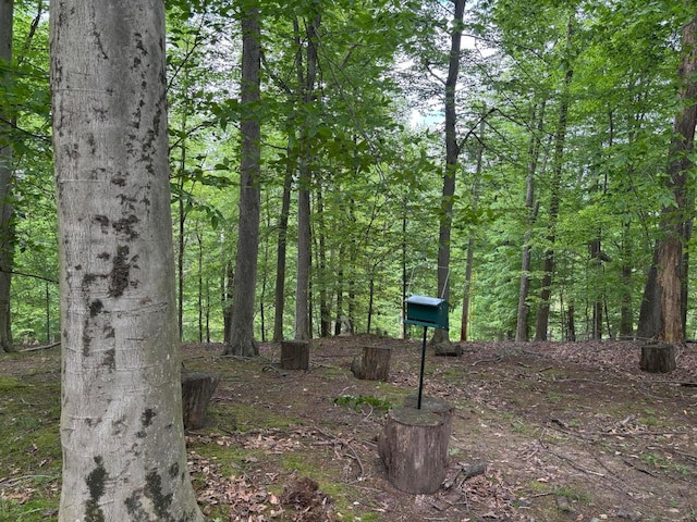 1160 Flathead Ln, Sugar Grove, OH 43155 - view of wooded area
