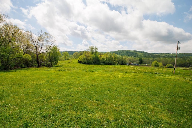 7885 Upper Twin Rd, South Salem, OH 45681 - view of green lawn with a view of rural / pastoral area