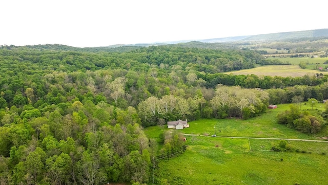 7885 Upper Twin Rd, South Salem, OH 45681 - view of rural area featuring a forest