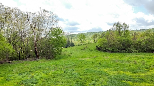 7885 Upper Twin Rd, South Salem, OH 45681 - view of woods