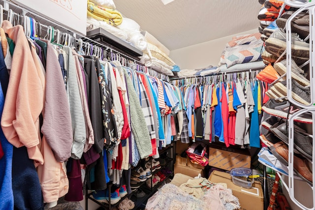 331 Hardwood Ave, Circleville, OH 43113 - view of spacious closet
