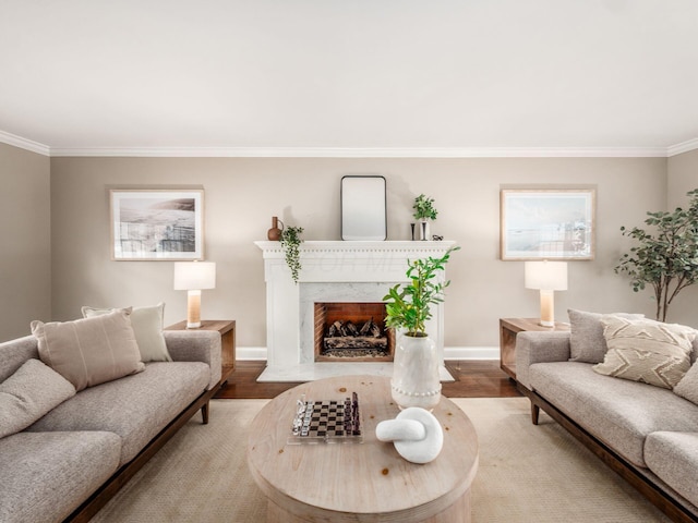 living area featuring wood finished floors, crown molding, baseboards, and a premium fireplace
