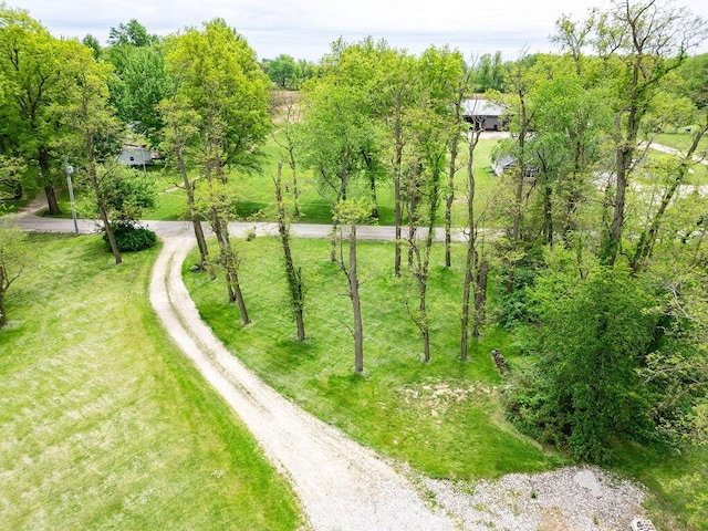 8950 Woodhaven Rd, Johnstown, OH 43031 - surrounding community featuring driveway and a yard
