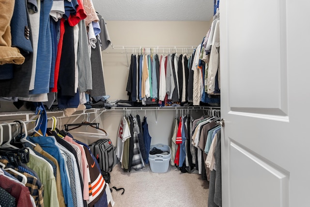 243 Parkgate Ct, Delaware, OH 43015 - spacious closet featuring carpet flooring