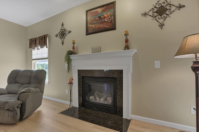 135 Tassel View St, Pataskala, OH 43062 - living area featuring wood finished floors, a high end fireplace, and baseboards