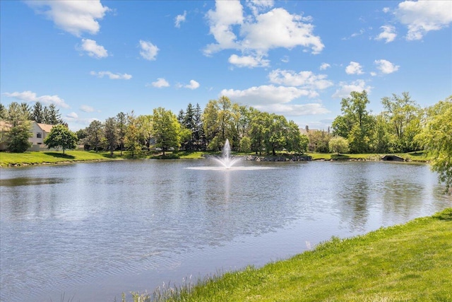 2713 Summer Dr, Dublin, OH 43016 - water view