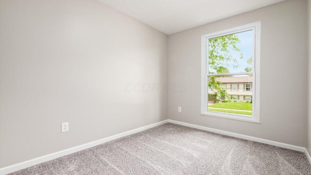 6977 Richfield Dr, Reynoldsburg, OH 43068 - photo 21