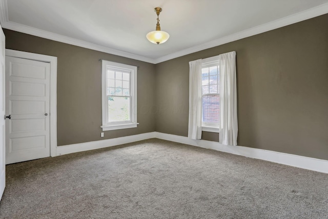 1041 Franklin Ave, Columbus, OH 43205 - spare room with crown molding, carpet flooring, and baseboards