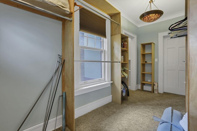 1041 Franklin Ave, Columbus, OH 43205 - walk in closet featuring carpet flooring