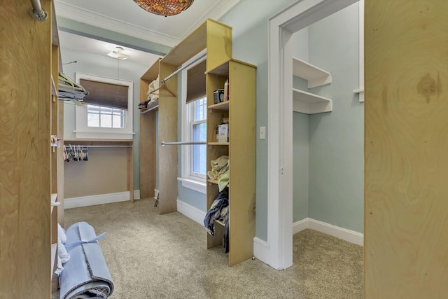 1041 Franklin Ave, Columbus, OH 43205 - walk in closet with carpet floors