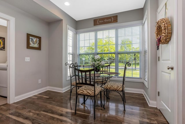 5119 Butterworth Green Dr, New Albany, OH 43054 - dining space with baseboards and dark wood-type flooring