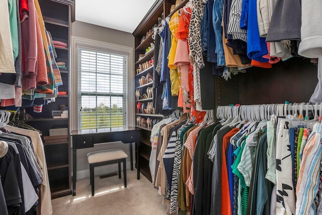 5119 Butterworth Green Dr, New Albany, OH 43054 - walk in closet with carpet