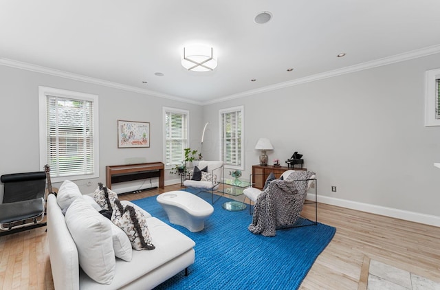 308 Jackson St, Columbus, OH 43206 - living room featuring wood finished floors, ornamental molding, healthy amount of natural light, and baseboards