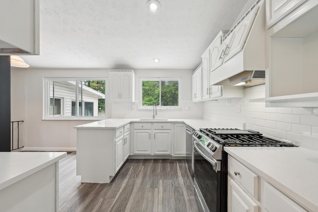3368 Pine Valley Rd, Columbus, OH 43219 - kitchen featuring appliances with stainless steel finishes, dark wood-style flooring, a sink, light countertops, and a textured ceiling