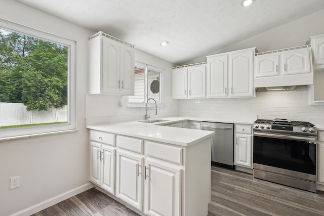 3368 Pine Valley Rd, Columbus, OH 43219 - kitchen with appliances with stainless steel finishes, a sink, lofted ceiling, decorative backsplash, and white cabinetry