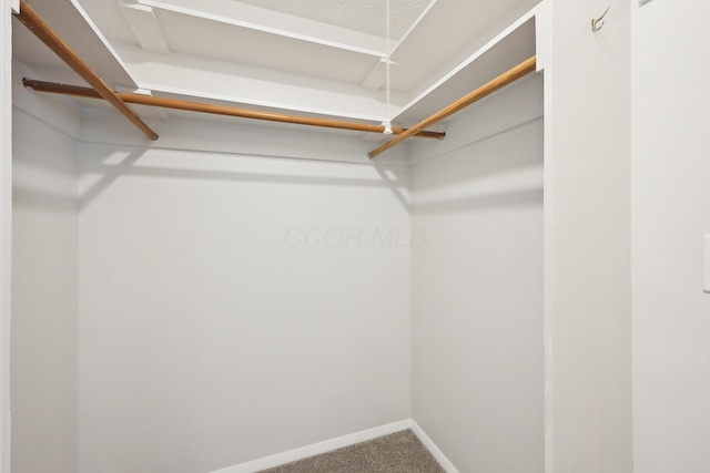 3368 Pine Valley Rd, Columbus, OH 43219 - spacious closet with carpet flooring