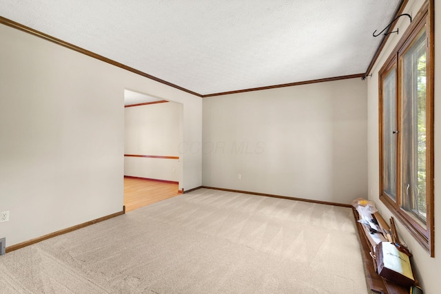 750 Pepper Ct, Westerville, OH 43082 - empty room with light carpet, healthy amount of natural light, crown molding, and a textured ceiling