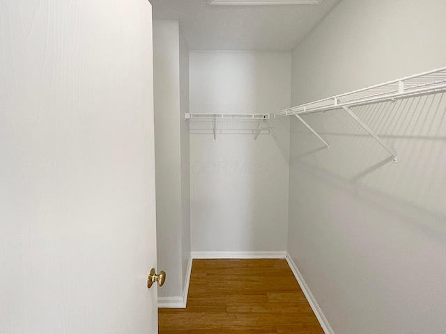 3118 Legion Ln, Columbus, OH 43232 - walk in closet with wood finished floors