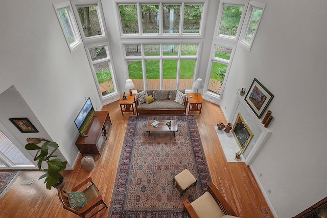 8259 Spruce Needle Ct, Columbus, OH 43235 - living area featuring wood finished floors, a towering ceiling, and baseboards