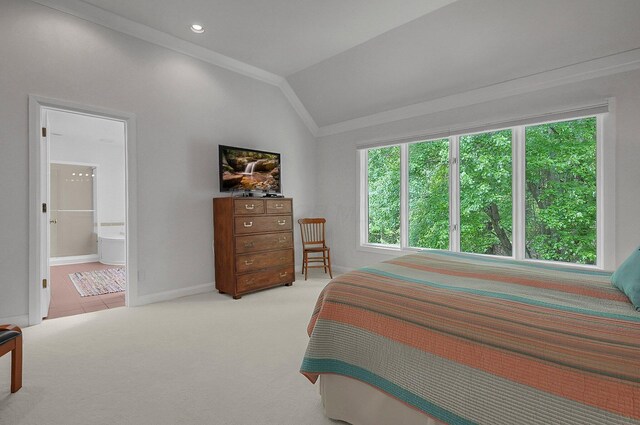 8259 Spruce Needle Ct, Columbus, OH 43235 - bedroom with multiple windows, lofted ceiling, crown molding, baseboards, and carpet floors