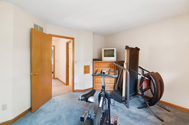 exercise area featuring baseboards and carpet floors