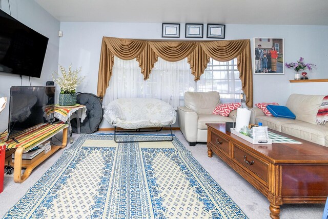 1469 Sandalwood Pl, Columbus, OH 43229 - living room featuring light colored carpet