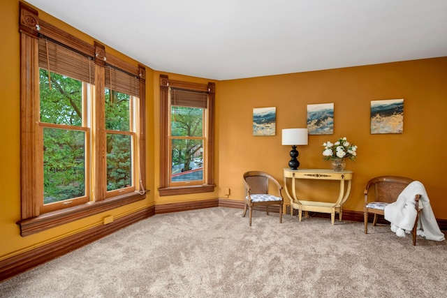 1042 Neil Ave, Columbus, OH 43201 - sitting room featuring carpet floors and baseboards