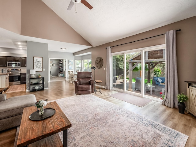 4710 Helmsbridge Ct, Grove City, OH 43123 - living room with ceiling fan, light wood-style floors, high vaulted ceiling, and baseboards