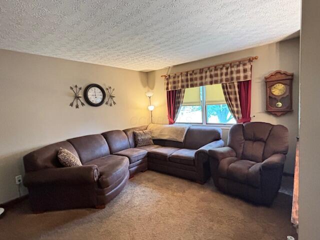 carpeted living area with a textured ceiling