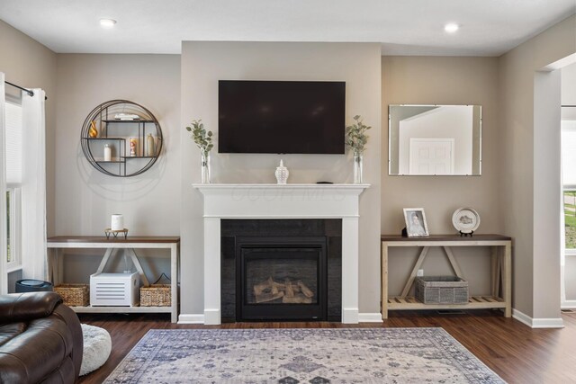 249 Rochdale, Delaware, OH 43015 - living area with wood finished floors, a glass covered fireplace, baseboards, and recessed lighting