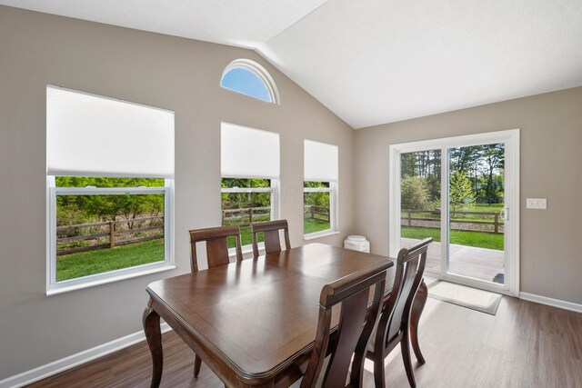 249 Rochdale, Delaware, OH 43015 - dining space with lofted ceiling, wood finished floors, and baseboards