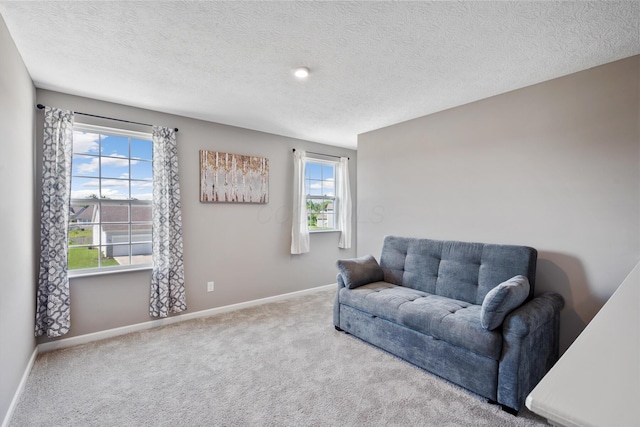249 Rochdale, Delaware, OH 43015 - living area featuring carpet, baseboards, and a textured ceiling