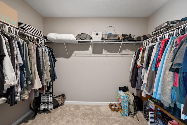 249 Rochdale, Delaware, OH 43015 - walk in closet with carpet floors