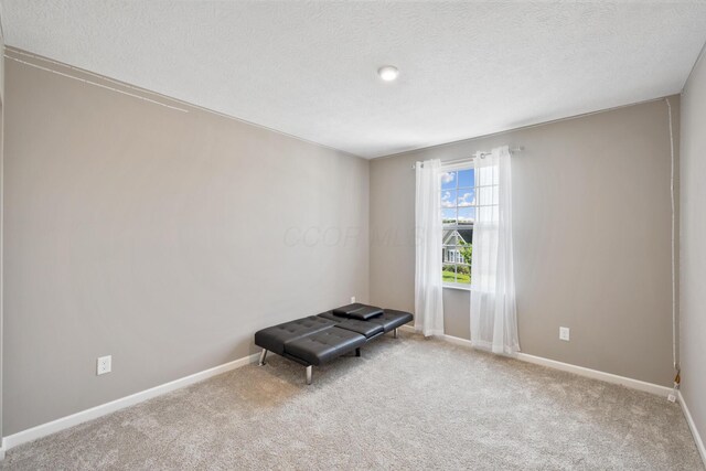 249 Rochdale, Delaware, OH 43015 - carpeted spare room featuring baseboards and a textured ceiling