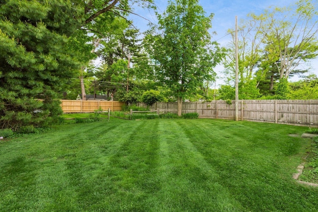 view of yard